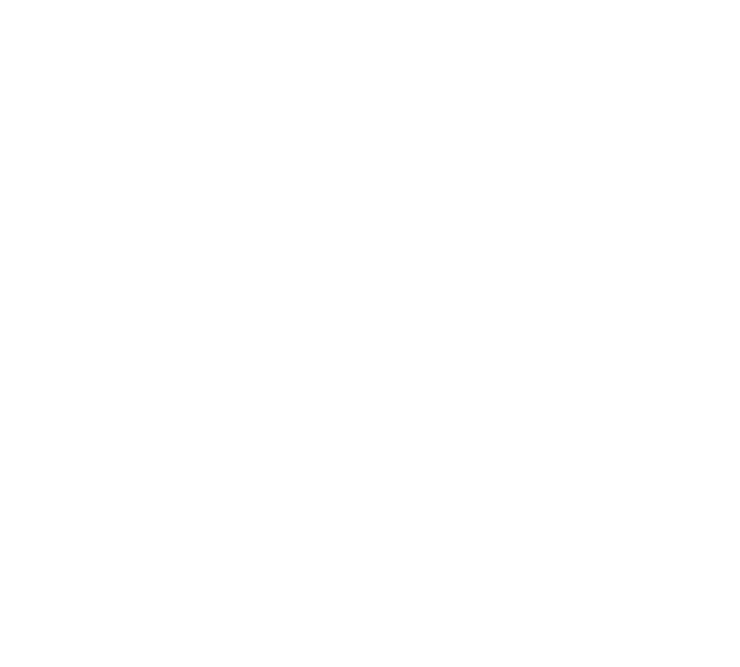 Pro EV Charger